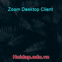 Zoom desktop client